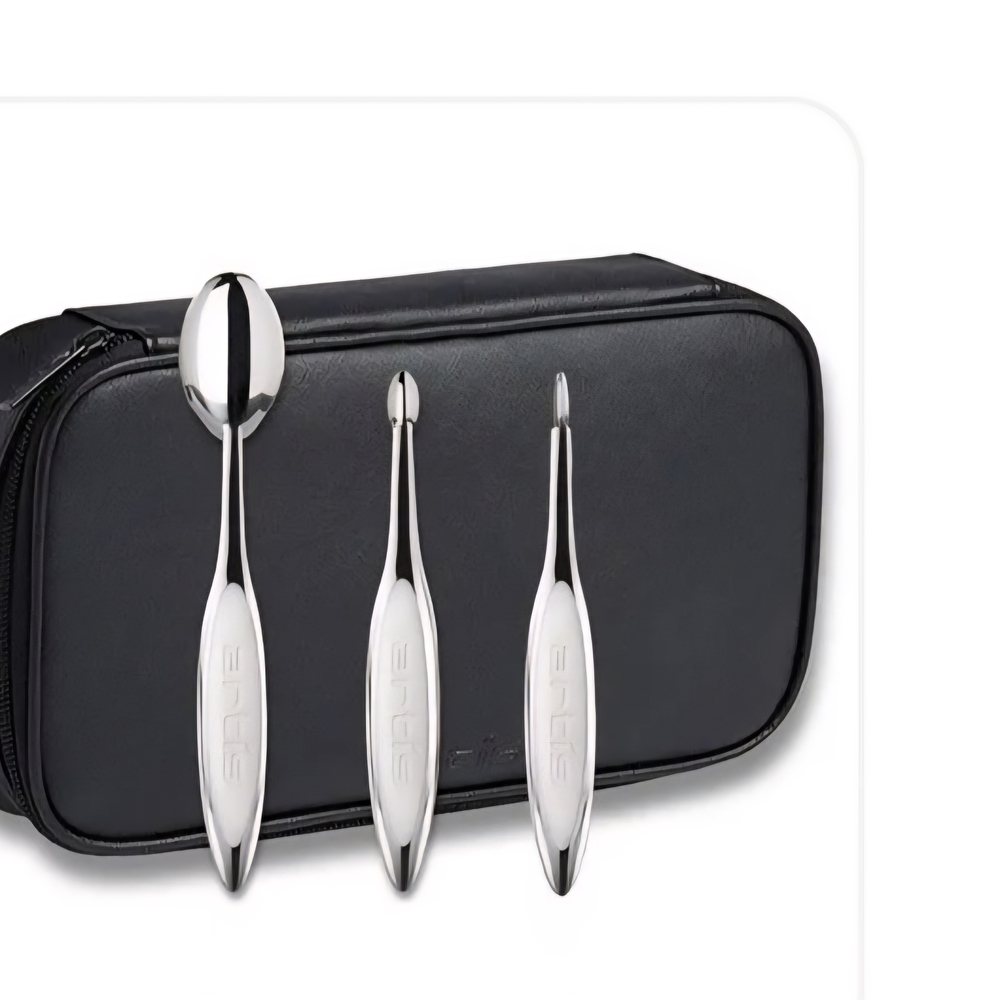 Artis Brush Case And 4 Brushes with Black Case And Brush Cleaning Wipes